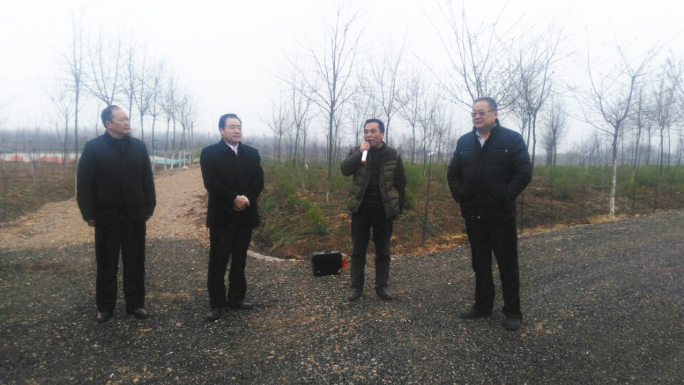 考察组参观全椒县石沛镇太禾山核桃基地_副本.jpg